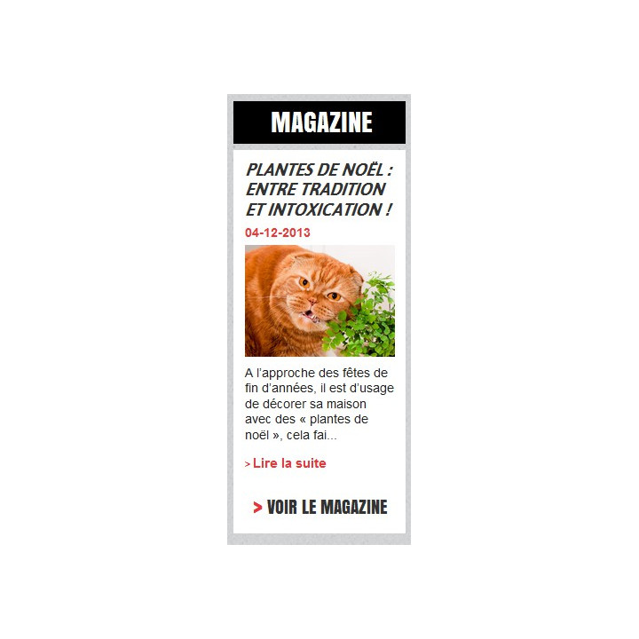Afficher les articles de votre blog avec leurs images sur votre boutique