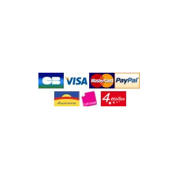 Module Paypal et carte bancaire sans compte Paypal